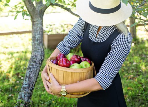 Paleo diet for Women over 50